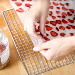 peeling off the dehydrated strawberries in the dehydrator
